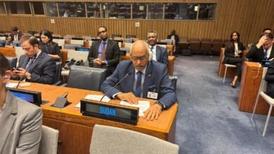 d333525d 62f2 49f4 bdcf be53851d012e