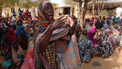 منسقية النازحين بدارفور تناشد الامم المتحدة 15 e1705323263768