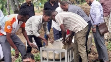 eca0b3d0 297c 4e08 9bee 6d434dfc5f5b