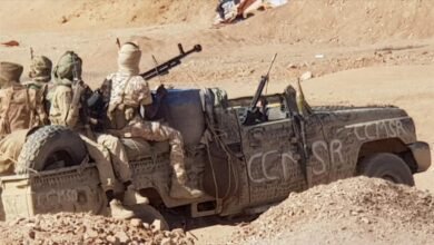 thumbs b c 523fe826d93e57a0ffc0df669a5a2f3d