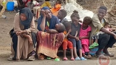 untitled 1717413519 jpg 1717413519.wm