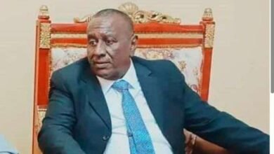 والي الجزيرة ينفي خبرا مهما 17 الطاهر إبراهيم الخير والي الجزيرة