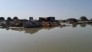 ١٠ ٤١ ٢٣ IMG 20240926 WA0060 780x470 1