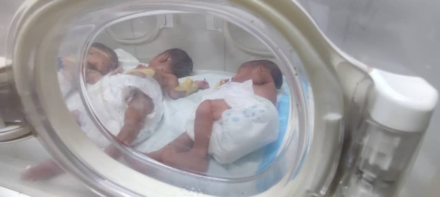 ٢١ ١٥ ١٧ IMG 20240917 WA0023 860x386 1