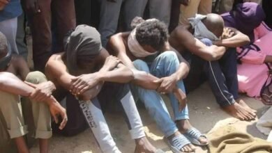 1583f83e 0ce7 410e b336 2b9345abaff5