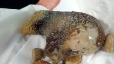 1daaf8f6 7cf7 41db ae01 a4a9f0133b57