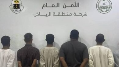 31e73893 df98 4575 b78d 99bda6edf2f2