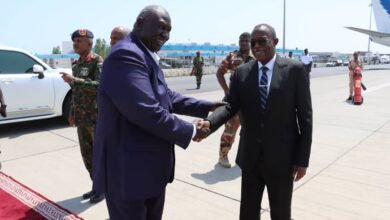 4043c3f7 54fe 44fe 8aa6 bf490b255710