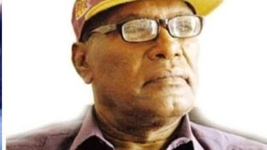 54e8cb63 3534 4a6b b44f e1789de89839