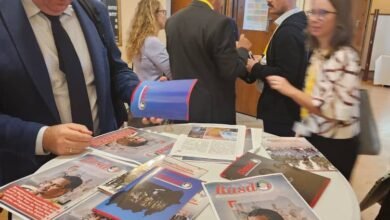 57ac0fad e744 4f9a 915d a4f1500d6ada