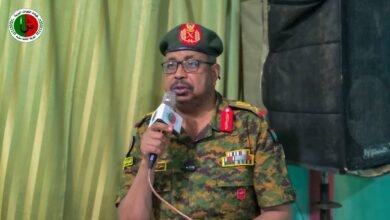 603fd0d4 fb3e 4eb1 8d3c bf57563d7c2b