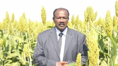 66c0ed07 6040 451d 842d abc143607751