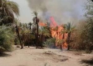 الشمالية تواجه كارثة.. تفاصيل ما حدث