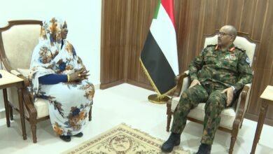 توجيهات سيادية بتفعيل الشراكات الخارجية بشأن الإستثمار 16 b46cedbb c77c 4794 9379 01cbdd18018b