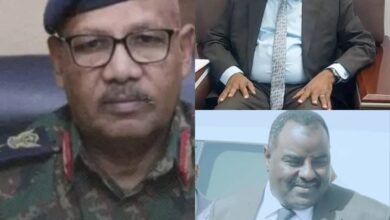 c7062e0c ffc1 48cd 9763 aefce0bfeba7