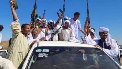 cd55295c 3f86 4cca 922d 0221197d38ba