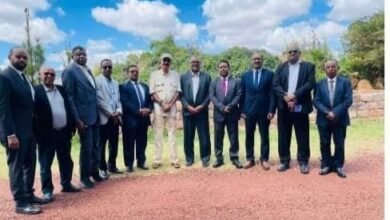 e839859c 1665 4413 ad24 e09a1101b37d