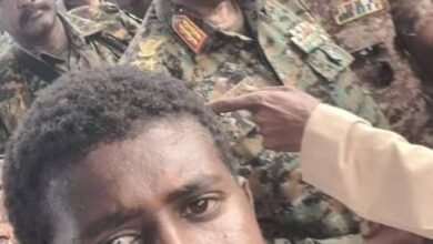 f83d9c9f 7d7a 4174 91d9 77614e7104a1