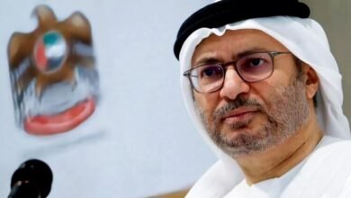 مستشار رئيس دولة الإمارات :المليشيات كلفت العرب كثيرا