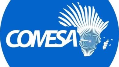 07110e7b 882c 472c 8a97 31293e93d3c8