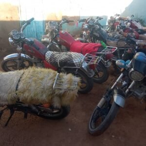 إنجاز كبير لشرطة بربر بولاية نهر النيل 12 إنجاز كبير لشرطة بربر بولاية نهر النيل