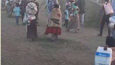 أهل الجزيرة يواجهون نقص الغذاء والدواء 16 1000359980