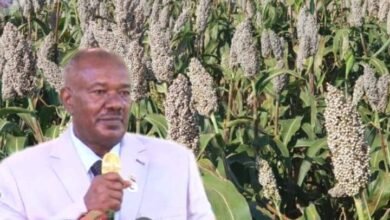 وزير الزراعة يكشف عن أسباب نجاح هذا الموسم