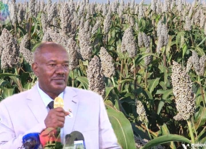 وزير الزراعة يكشف عن أسباب نجاح هذا الموسم