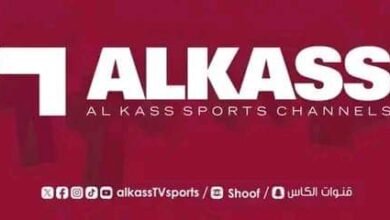 قناة شهيرة تحتفى بتأهل السودان