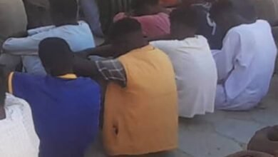 b60f007f 8196 4b4f 91f7 2c5895c7d557