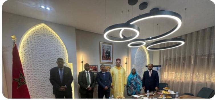 إدخال تقانة صينية جديدة لاستكشاف المعادن بالسودان 11 dcecd828 0a2c 4c7a a973 23d98f19b6c0