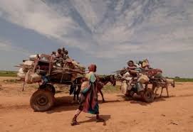 منظمة دولية تكشف عن تورط فرنسا في حرب السودان 13 منظمة دولية تكشف عن تورط فرنسا في حرب السودان