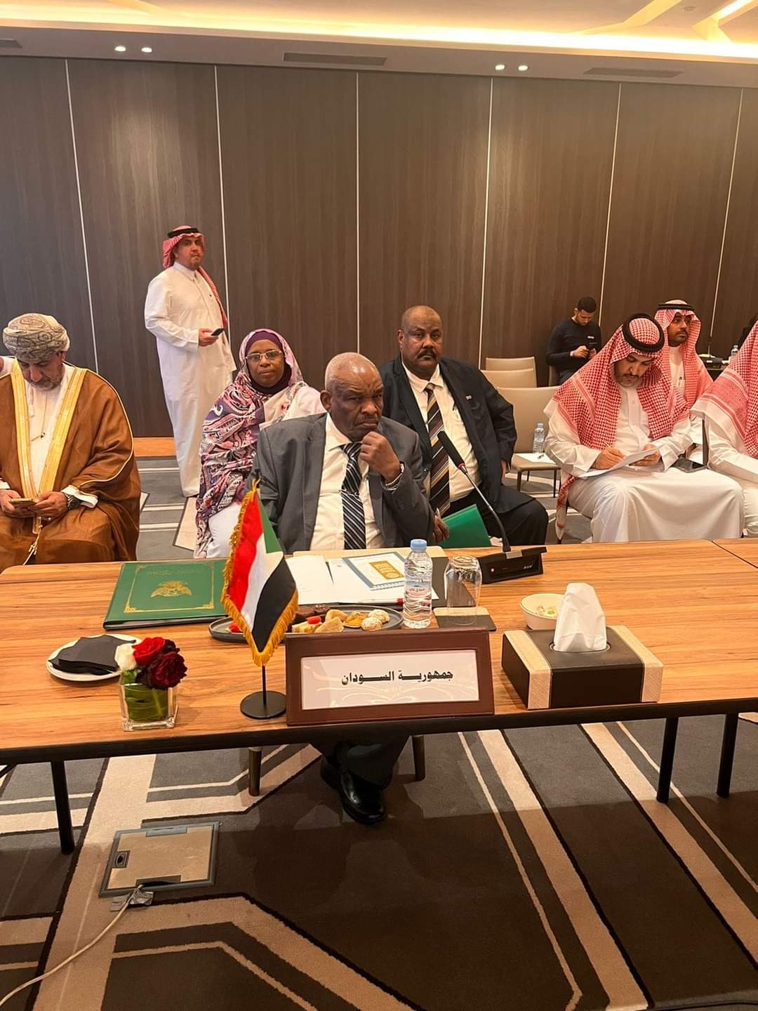 تعهدات من منظمة العربية للتنمية تجاه السودان 11 fec04294 8b1e 44d1 8b84 b79ee757a32a