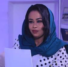 رشان أوشي يكتب:  هل انتصار الجيش ممكن؟