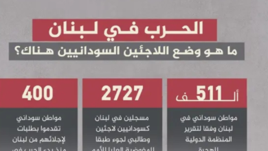 تقرير صادم لمنظمة الهجرة الدولية عن اللاجئين السودانيين في لبنان 17 img 1732903661229