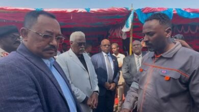 03235397 ecf9 48b8 80fd 92388a6c0b04