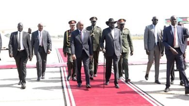 0a85162d 7513 4230 b715 577fb6244492