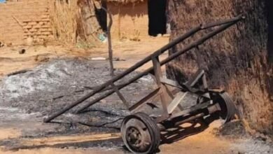 أرتفاع ضحايا مجزرة أولاد الريف بالفاشر 16 1000423150