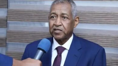 عدوي يكشف ملف علاقات السودان بالجامعة العربية 16 1735313647562