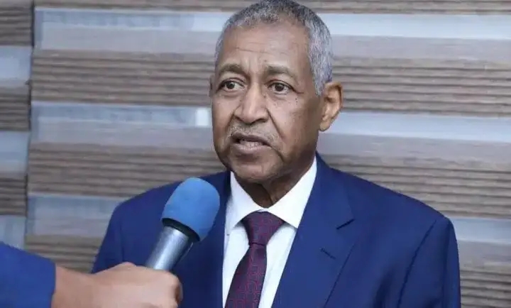عدوي يكشف ملف علاقات السودان بالجامعة العربية 11 1735313647562