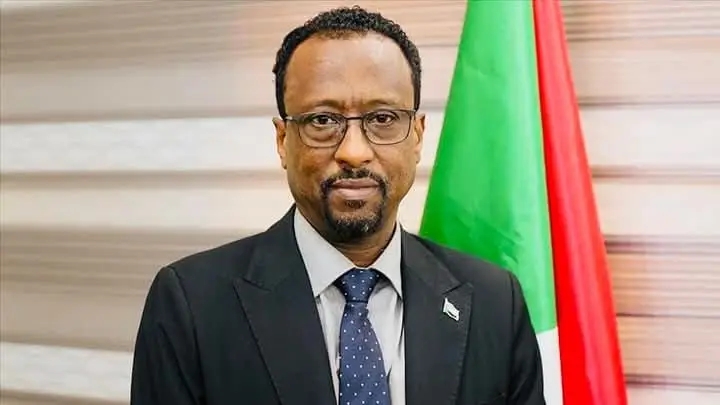 التفاصيل الكاملة للقاء وزير الإعلام مع الأناضول 11 1735638396797