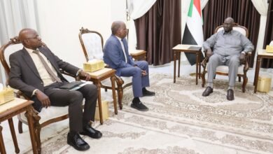 5fe013e9 d179 4b06 a921 dc422448bb3b