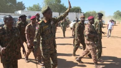 84f44edb 9d12 414a a5b9 2790df421460