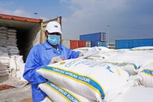 8eea974b 6981 4741 971e 3679b496ffa0