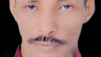 IMG 20241219 WA0041 2