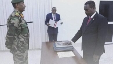 Screenshot 20241212 182529 Lite