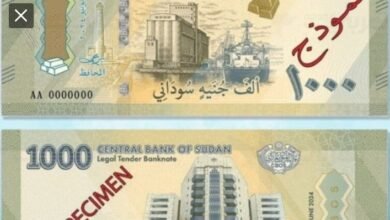 Screenshot 20241213 063725 Outlook