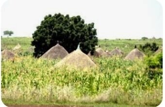 Screenshot 20241215 184033 Outlook