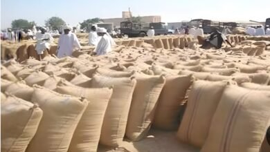 ba8fcbb0 e84d 422c 9695 b77a679ec42b