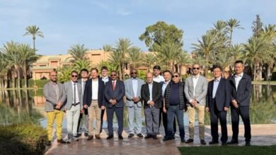 d29edf73 bc55 4856 9005 df2368eeec47